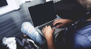 2013 Kia Soul Hamster Commercial Gangnam